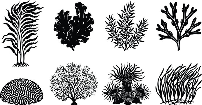 Underwater Seaweed and Coral Reef Silhouettes Vector Set of Marine Plants and Ocean Flora Icons