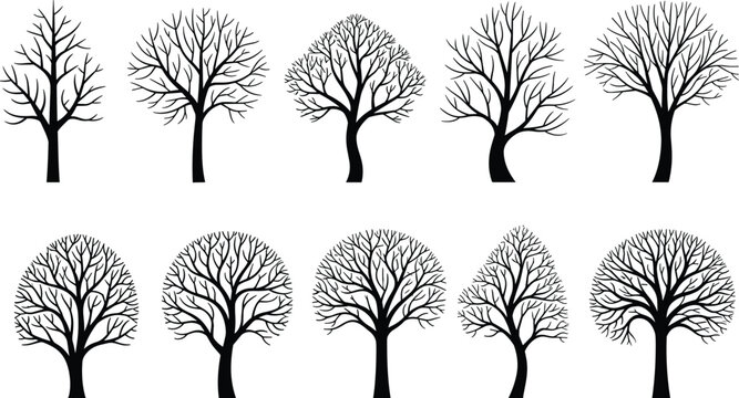Vector illustration set of ten stylized leafless tree silhouettes with diverse branching patterns for nature, design, and decorative projects