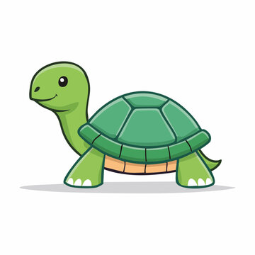 Cute Cartoon Turtle Illustration