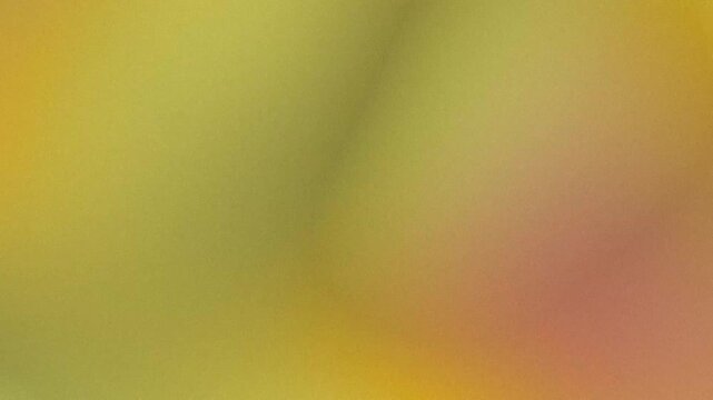 Abstract gold bokeh gradient softly shifting in atmospheric space with textured lo-fi vintage film grain vibe