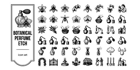 Fototapeta premium Luxury Botanical Perfume Etch Black White-Orchid Ingredient Distillery Still-Fragrance Vector-Perfume Icon Etch-Luxury Design Set