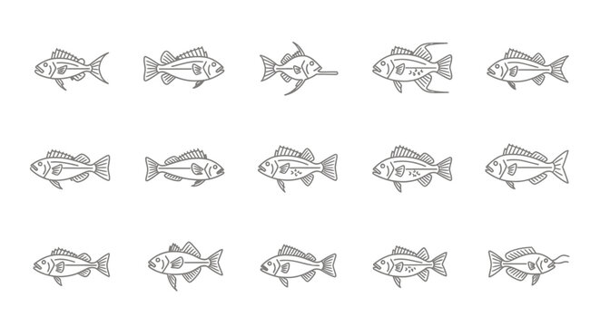 Outlined fish collection in rows on white background for design
