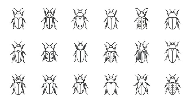 Various stylized insect illustrations arranged in rows on white background