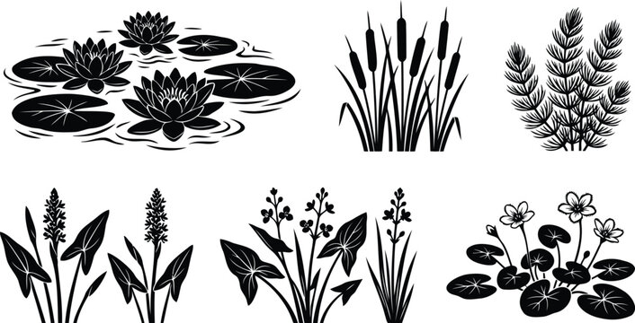 Set of black pond and water plant icons and silhouettes