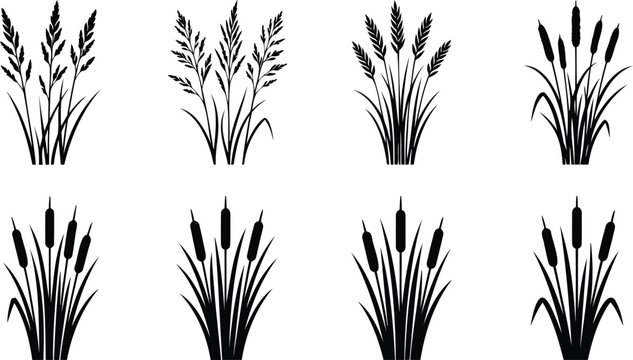 Set of black silhouettes of marsh grass and cattail plants