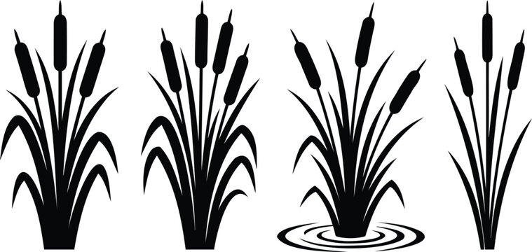 Black silhouette icons of cattail reeds and swamp plants