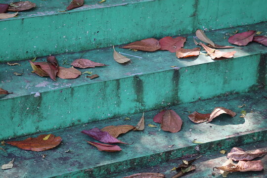 Fallen leaves scattered across concrete stairs, creating natural textures, seasonal atmosphere, urban contrast, and visual depth.