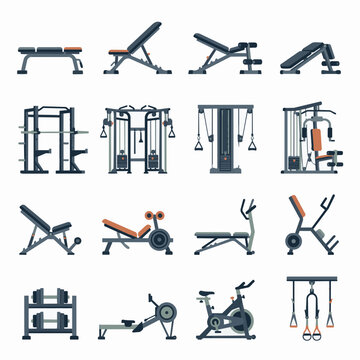 Collection of gym equipment with fitness machine, weight bench, dumbbell rack, rowing machine, and exercise bike, perfect for fitness and sport