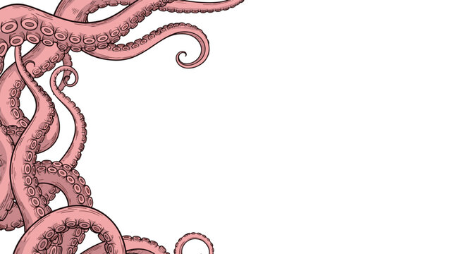 Detailed illustration of pink octopus tentacles with suckers curling around a white border providing copy space for nautical themes.