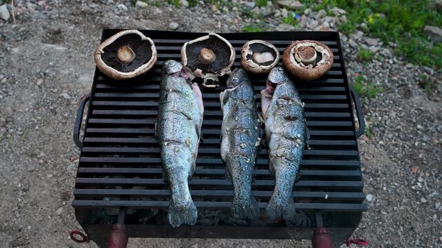 Grilled trout and mushrooms cooking on a barbecue grill. Fresh trout and mushrooms on hot grill grate.