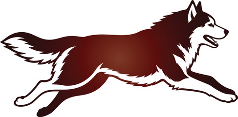 Premium vector logo featuring a maroon gradient husky/wolf in full sprint, representing endurance, winter performance © Netsolbiz