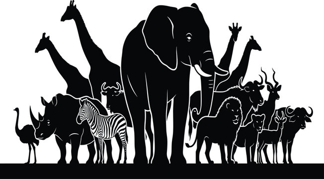 African safari animal group silhouettes, elephant, giraffe, lion, rhino, zebra, black vector illustration, wild nature graphic, eps10 white background design.