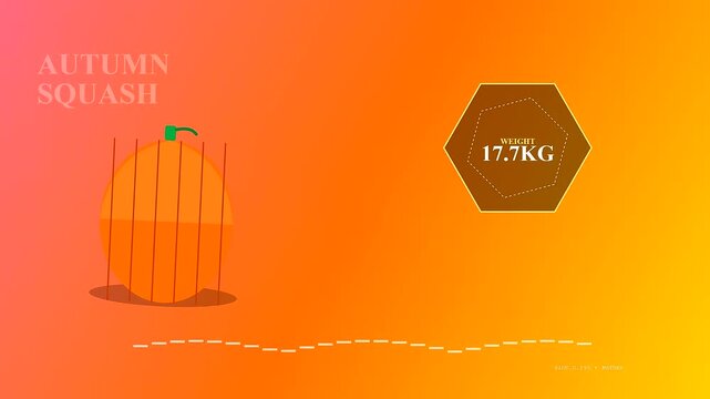 Community garden harvest shown through a sequence of digital icons depicting orange squash vegetables with weight measurements displayed in brown hexagonal graphic frames against sunset gradients