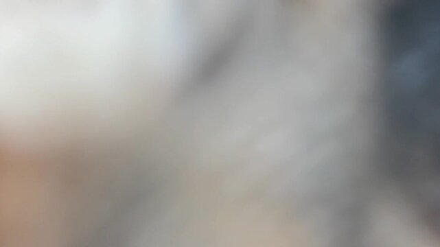 Extreme Macro Close Up of Wild Mouflon Sheep Eye 180fps Captured in Cinematic High Detail Footage