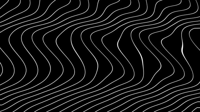 Black and white abstract wavy and curvy lines pattern seamless loop copy space background animation.