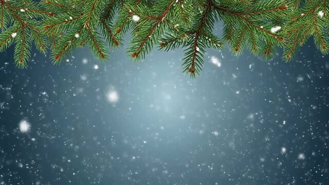 Christmas background with pine branches and falling snow on a blue gradient backdrop. Winter video background with wide copy space.