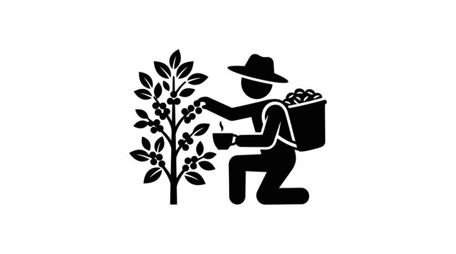 A black silhouette icon of a farmer harvesting coffee beans from a plant.