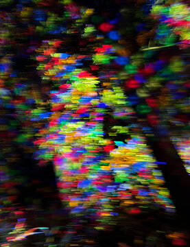 ICM motion of colour nature leaves 