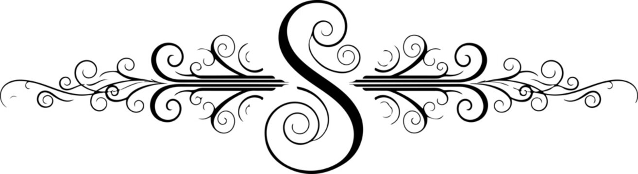 Ornate letter S, black floral border, elegant calligraphy, decorative swirls, vector illustration