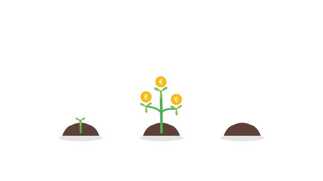 euro money tree growth animation showing financial success and investment on white background