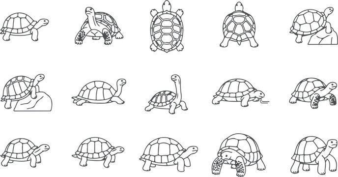 Collection of turtle outlines in various poses showing different shell patterns and body positions.