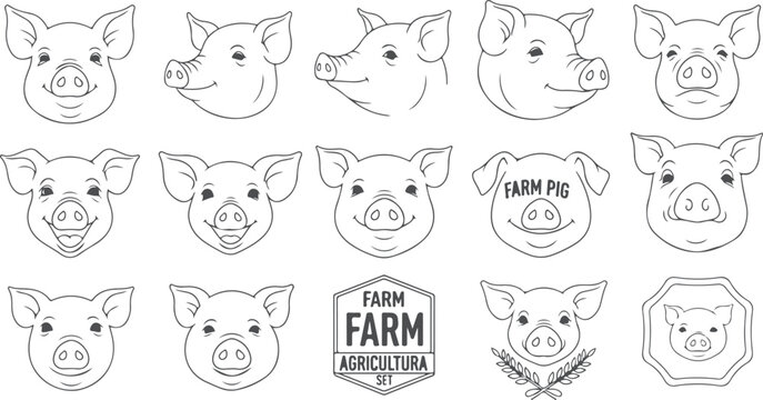 Collection of pig faces and farm agricultural elements outline drawings for design.