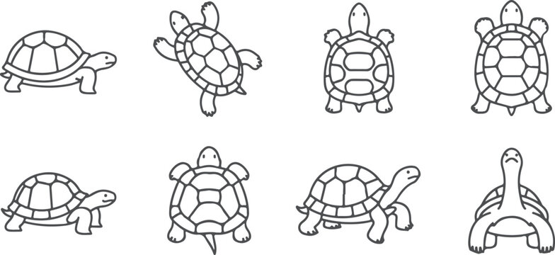 Collection of stylized line art turtles in various poses on transparent background.