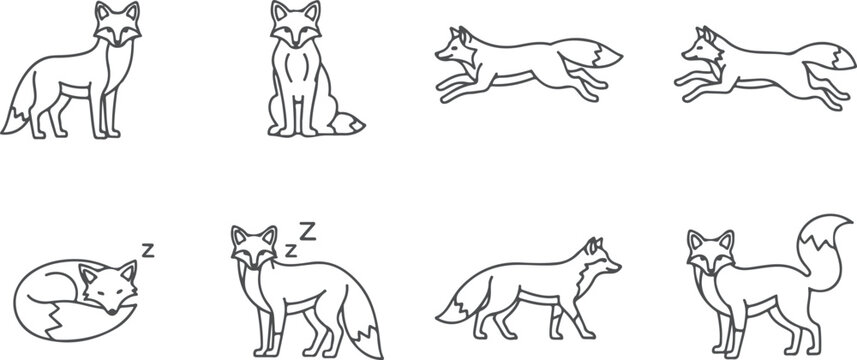 Stylized line drawings of foxes in various poses running sleeping and standing isolated on white.