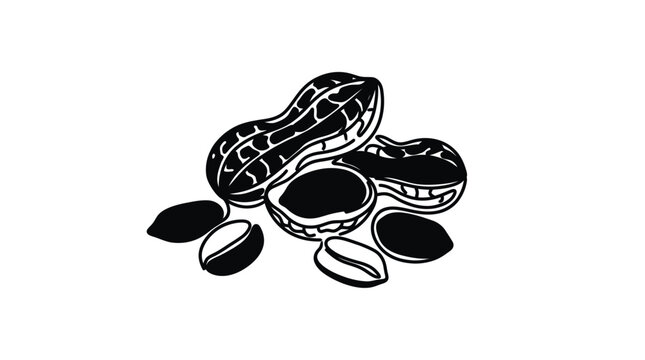 A detailed black and white illustration of peanuts in shells and shelled kernels.