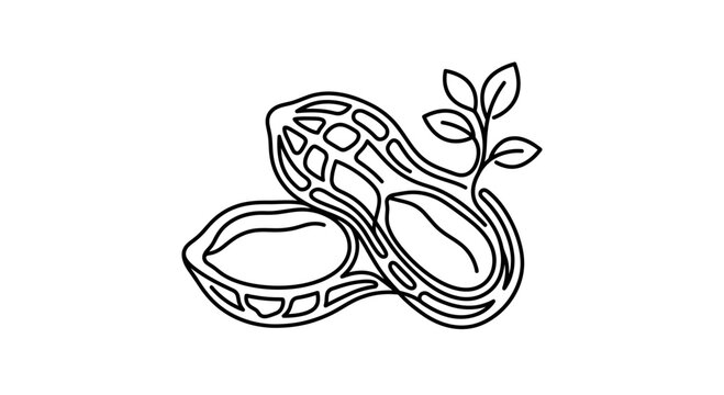 A simple black and white line art illustration of peanuts with leaves.