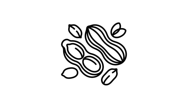 A simple black and white line art illustration of peanuts in shells and kernels.