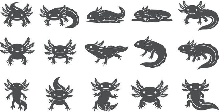 Axolotl salamander collection vector silhouettes in various poses and styles.