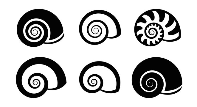 Nautilus Shell Swirls: Black and White Abstract Graphic Design Set