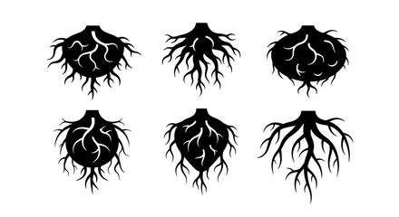 Fototapeta premium Set of Six Stylized Root Systems, Black Silhouettes on White Background