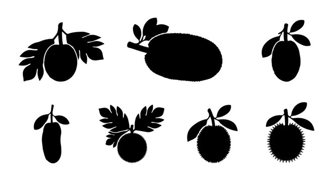 Jackfruit icon set silhouette, white background, vector Illustration