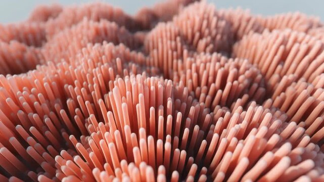 Vibrant coral reef texture with pink spines, macro close-up, natural background, abstract ocean pattern, colorful aquarium detail