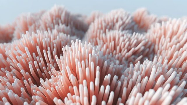 Close-up of pink coral reef texture with white tips, underwater marine life background, soft focus, pastel colors, natural pattern, serene ocean environment
