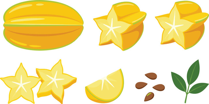 Starfruit collection with whole fruit slices seeds and leaves isolated tropical carambola botanical food illustration