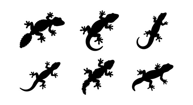 Gecko lizard icon set black silhouette collection, white background, vector Illustration