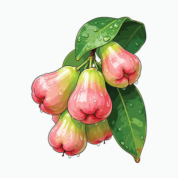 Glossy wax apples with droplets vector illustration