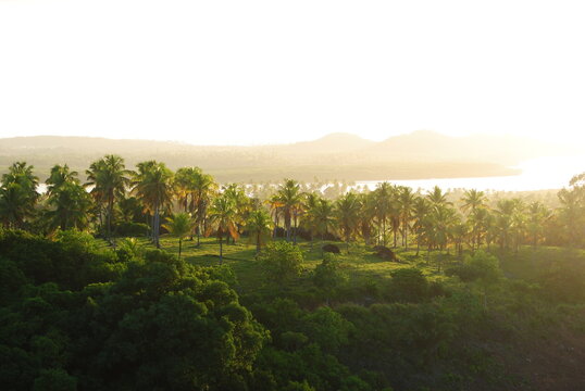 Natureza