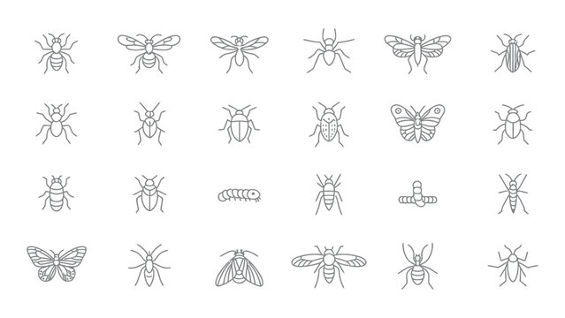 Insect icons set with line art bugs
