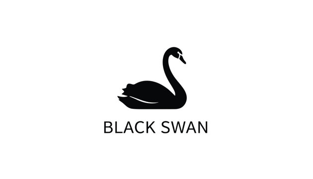 Elegant silhouette logo of a black swan floating gracefully on water with the text black swan written in a clean font below the image.