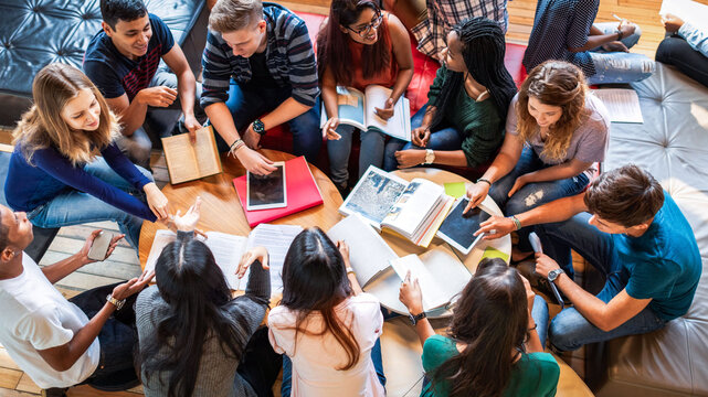 Diverse group studying together photo