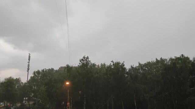 Rain in the fog in the evening sky with dark rumble with natural sound. Trees sway from the rain