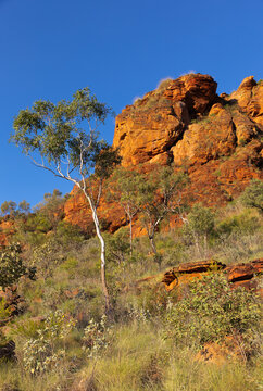 The deep orange colours of the sandstone formations in the Kimberley region of Western Australia