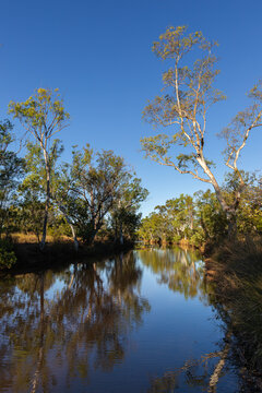 The tree lined creek at Valentine Springs near Kununurra, Western Australia,