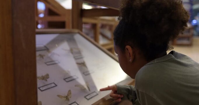 Young child carefully observing a preserved butterfly collection inside a museum display case. The image highlights museum learning, natural history educatio