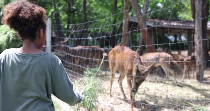 Young girl enjoying a close interaction with deer while feeding them in a nature park. The image represents wildlife education, environmental awareness