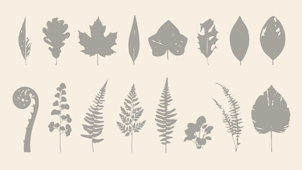 Fototapeta premium Gray leaf icons on beige background leaves botanical plant plants nature